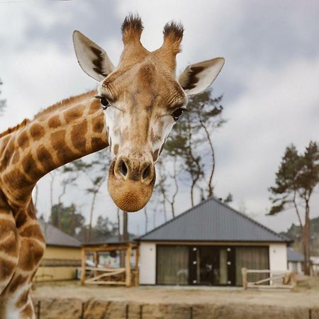Safari Resort Beekse Bergen Хилваренбек Екстериор снимка
