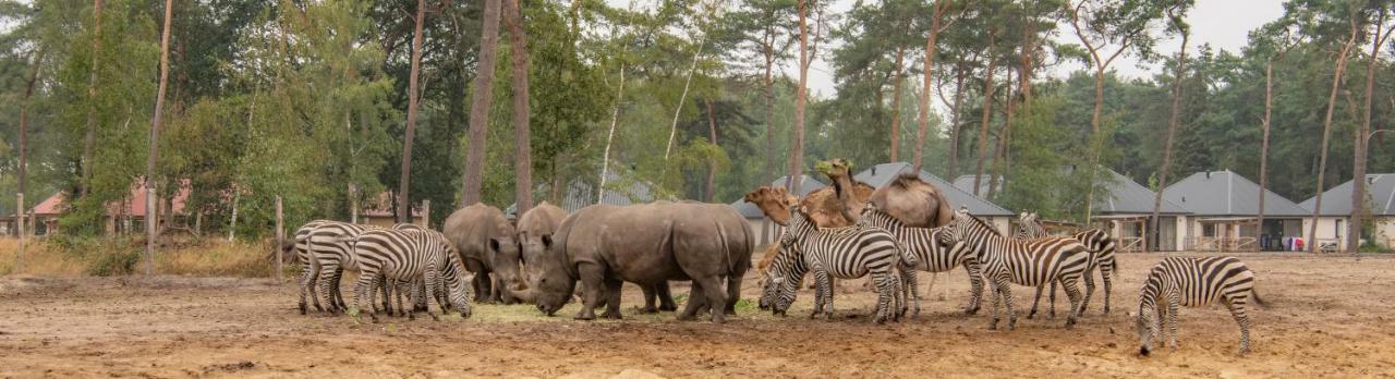 Safari Resort Beekse Bergen Хилваренбек Екстериор снимка