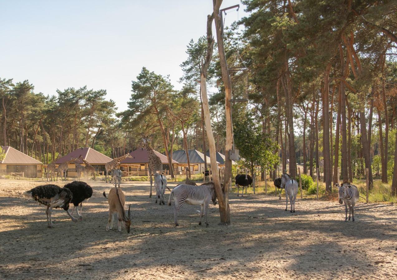 Safari Resort Beekse Bergen Хилваренбек Екстериор снимка