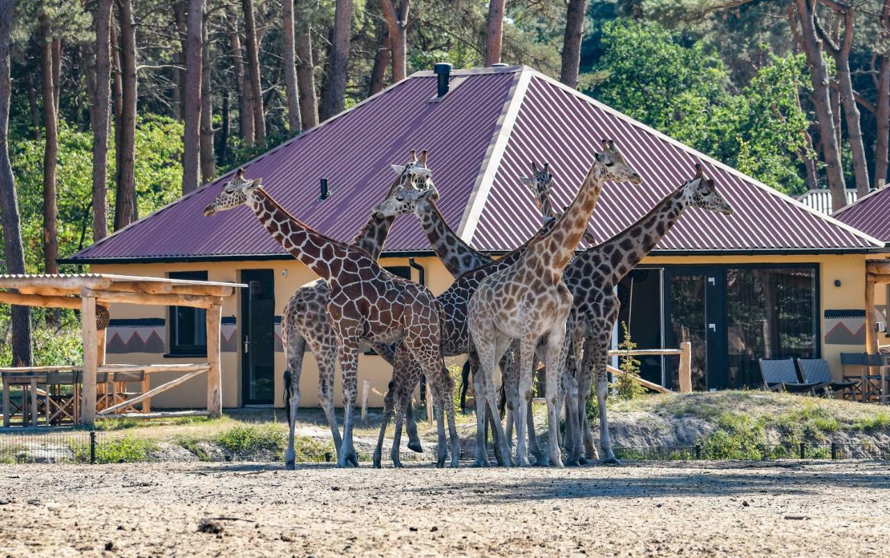 Safari Resort Beekse Bergen Хилваренбек Екстериор снимка