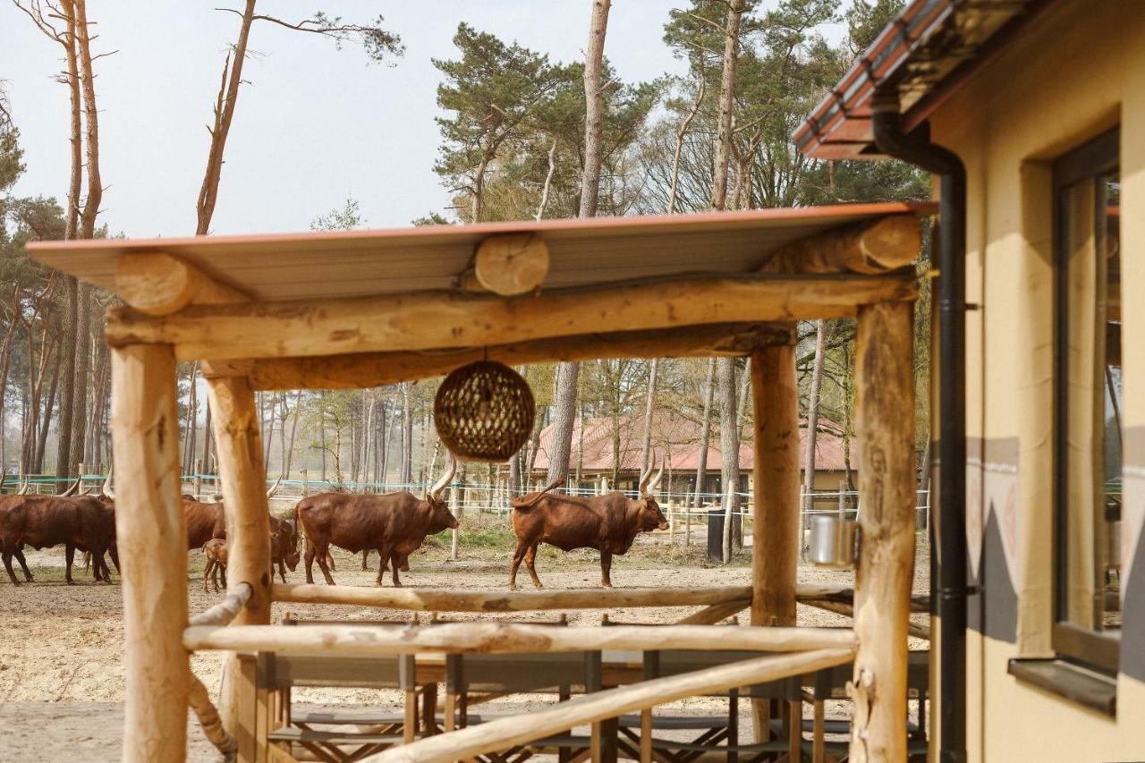 Safari Resort Beekse Bergen Хилваренбек Екстериор снимка