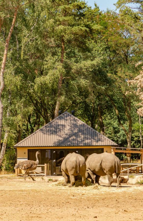 Safari Resort Beekse Bergen Хилваренбек Екстериор снимка
